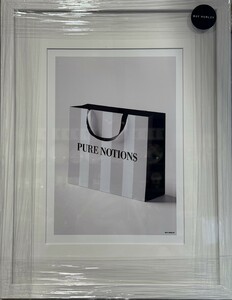 Pure Notions
