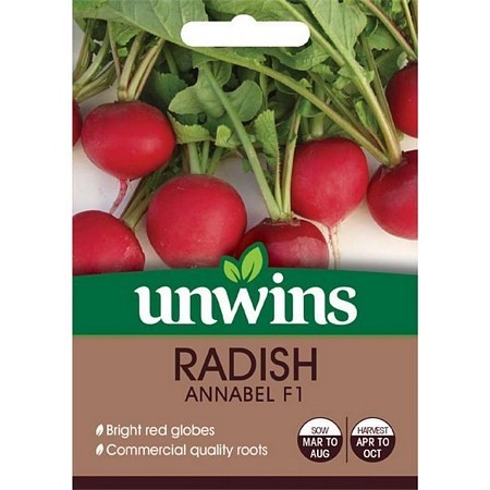 Radish (Globe) Annabel F1