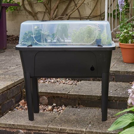 Raised Patio Planter