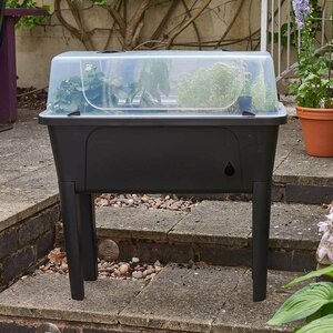 Raised Patio Planter