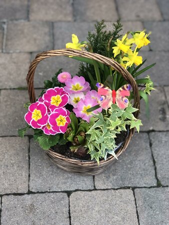 Rattan Hoop Basket (Mother's Day)