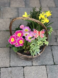 Rattan Hoop Basket (Mother's Day)