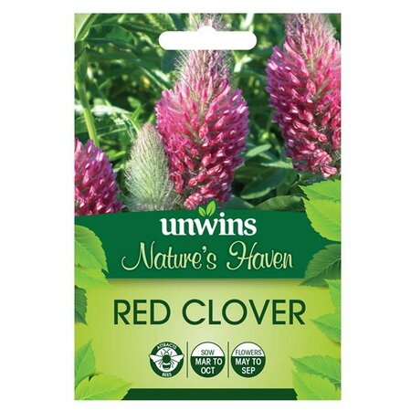Red Clover