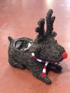 Reindeer planter d09*30*30cm