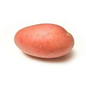 Rooster potatoe