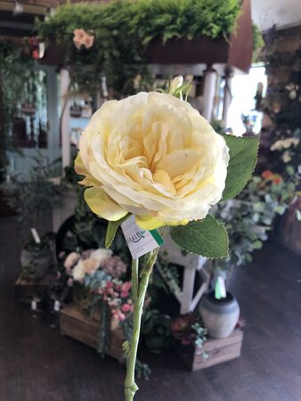 Rose Anne Spray Yellow - image 1