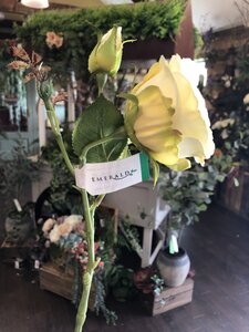Rose Anne Spray Yellow - image 2