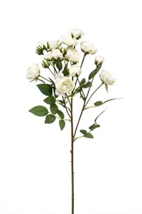 Rose mini spray white 57cm