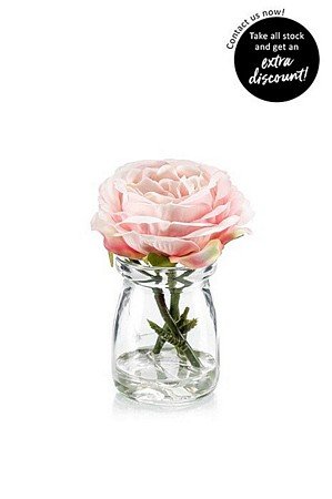 Rose peach in glass
