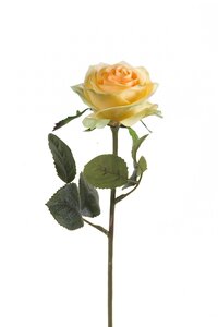 Rose simone 45cm yellow