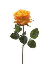 Rose simone 45cm yellow/orange