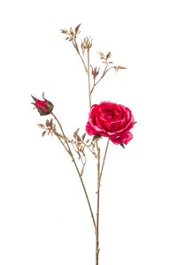 Rose spray x3 beauty/gold 79cm