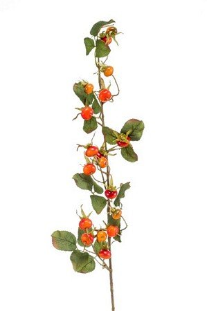 Rosehip Spray