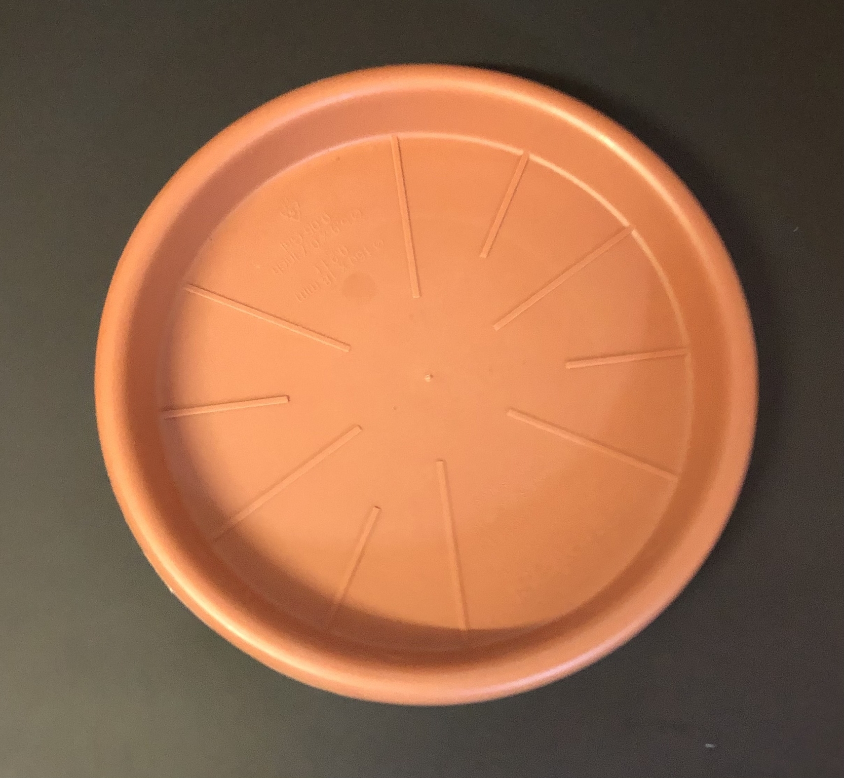 ROUND POT SAUCER 15cm D and M Garden Centre