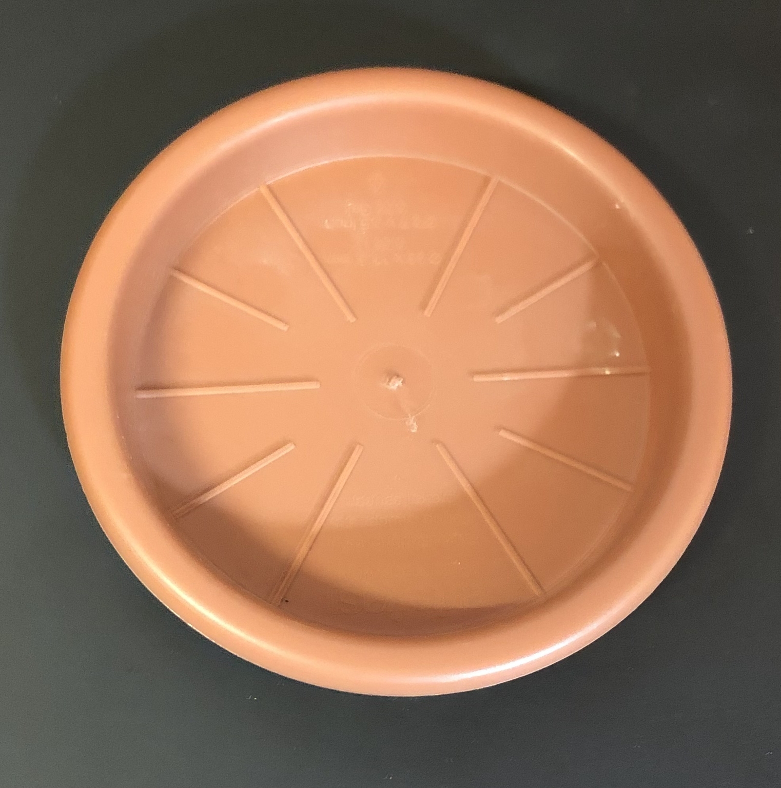 ROUND POT SAUCER 9.5cm D and M Garden Centre