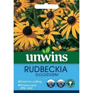 Rudbeckia Goldsturm