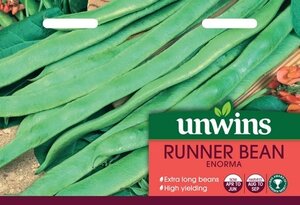 Runner Bean Enorma