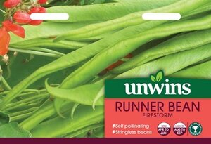 Runner Bean Firestorm