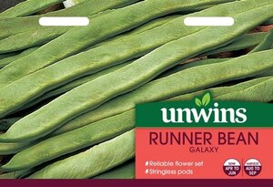Runner Bean Galaxy