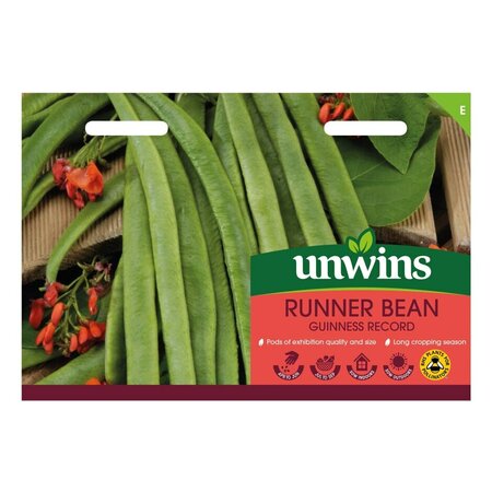Runner Bean Guinness Record - image 1