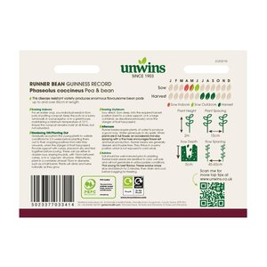 Runner Bean Guinness Record - image 2