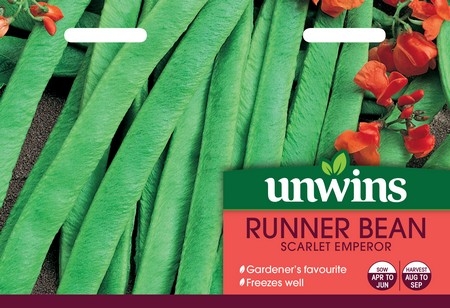 Runner Bean Scarlet Emperor