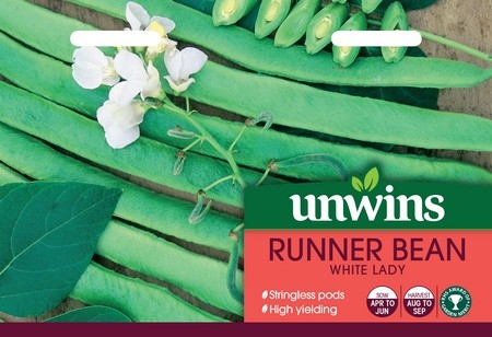 Runner Bean White Lady