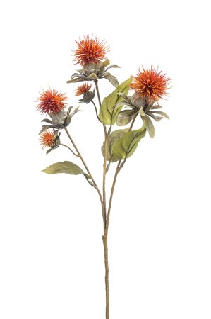 Safflower spray x3 dk orange 55cm