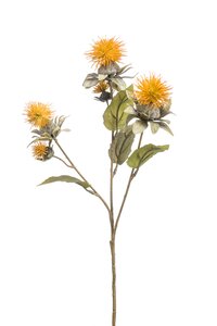 Safflower spray x3 ochre 55cm