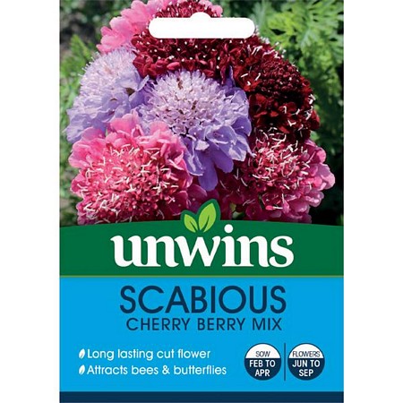 Scabiosa Cherry Berry Mix