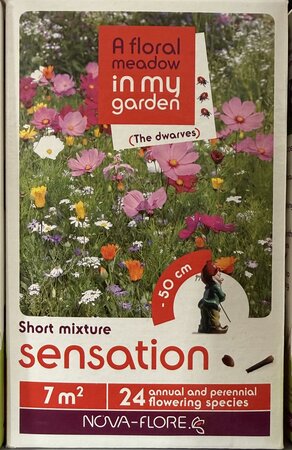 SENSATION  7sqm FLOWER