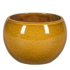 Shanghai Ochre 1-01T 32cm/H24cm