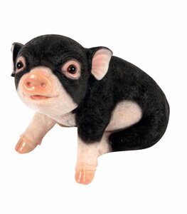 Sitting Black Piglet