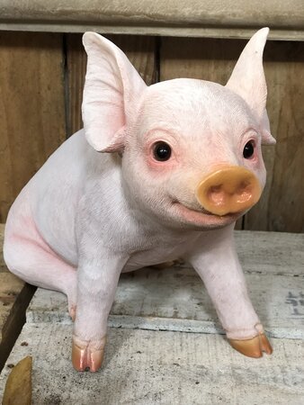 Sitting Pig - image 1