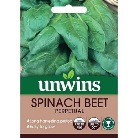Spinach Beet Perpetual