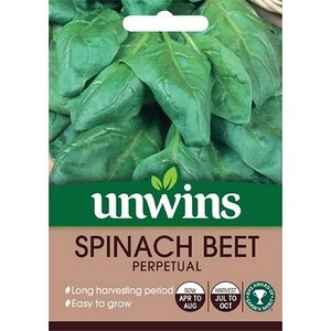 Spinach Beet Perpetual