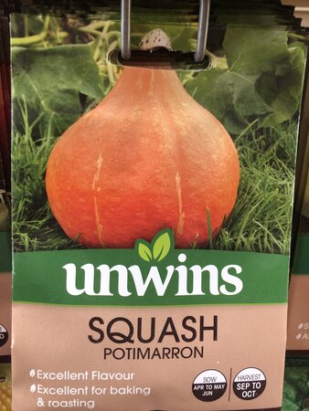 Squash (Winter) Potimarron