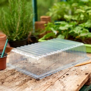 Standard Seed Tray Lid