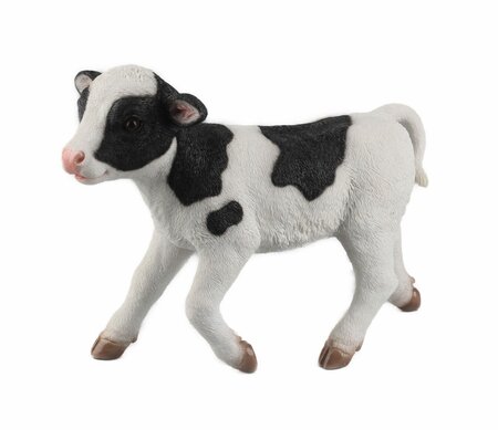 Standing Calf