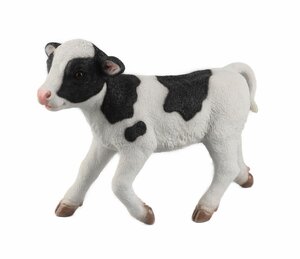 Standing Calf