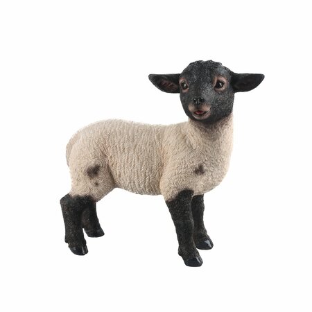 Standing Suffolk Lamb