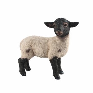 Standing Suffolk Lamb