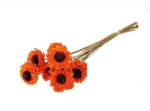 Stem Germini Slv 10 in bunch