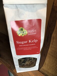 Sugar Kelp