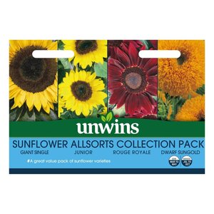 Sunflower Allsorts CollectionPack