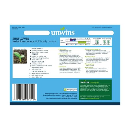 Sunflower Allsorts CollectionPack - image 2