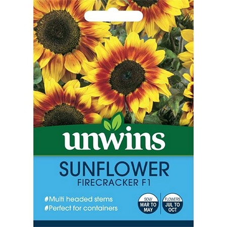 Sunflower Firecracker F1
