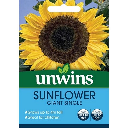 Sunflower Giant Single