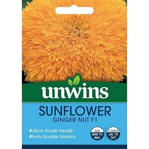 Sunflower Ginger Nut F1