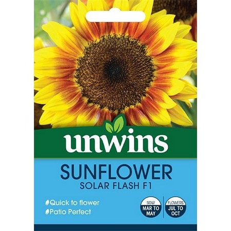Sunflower Solar Flash F1